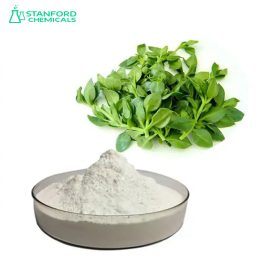 Andrographis Paniculata Extract