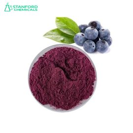 Bilberry Extract