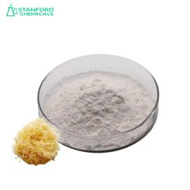 Burdock Root Extract