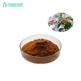 Chaste Berry Extract