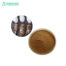 Chicory Root Extract