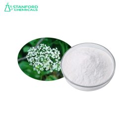 Cnidium Extract