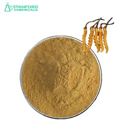 Cordyceps Extract