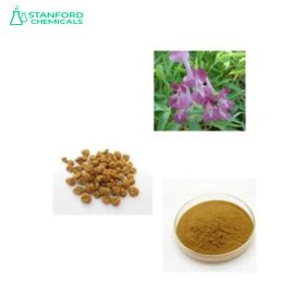 Corydalis Yanhusuo Extract