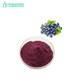 Cranberry (Bilberry) Extract