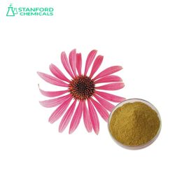 Echinacea Extract