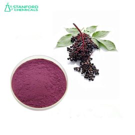 Elderberry Extract