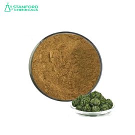 Gynostemma Extract