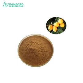 Loquat Leaf Extract