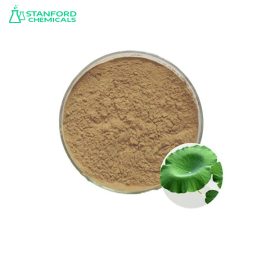 Lotus Leaf Extract