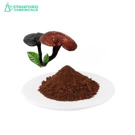 Reishi Mushroom Extract