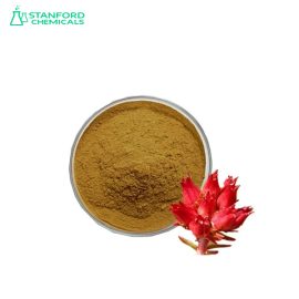 Rhodiola Rosea Extract