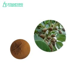 Terminalia Bellerica Extract