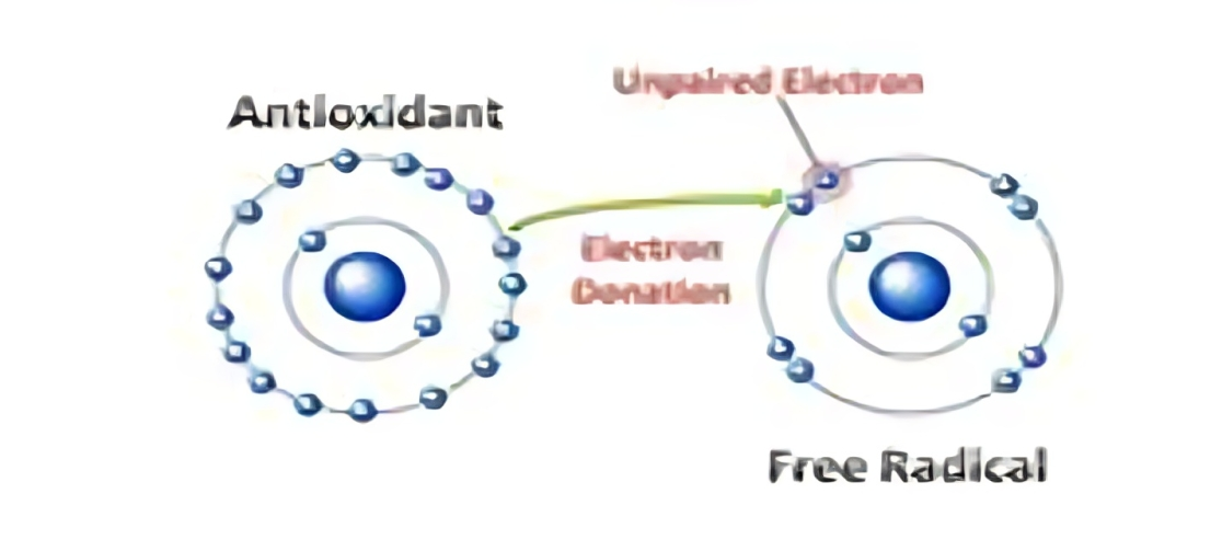 antioxidant supplements