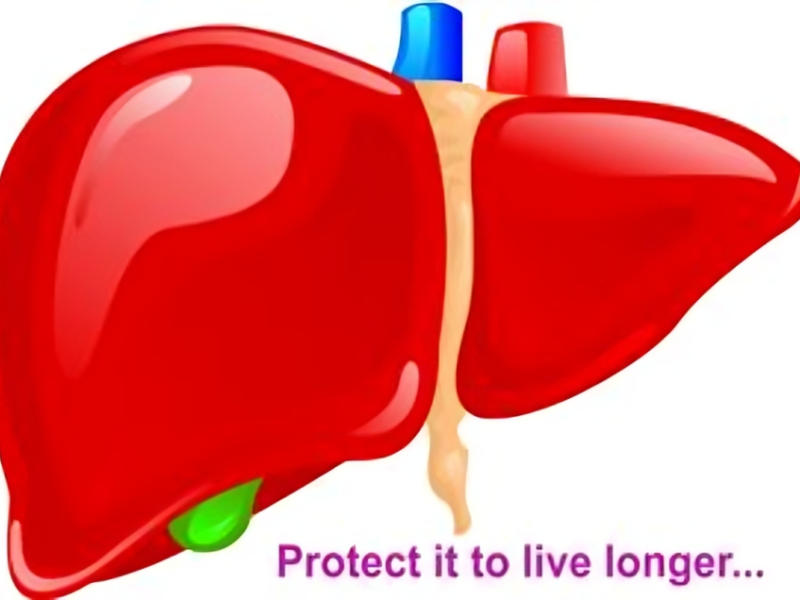 liver protection