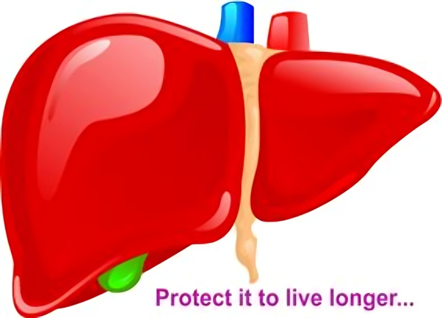 liver protection