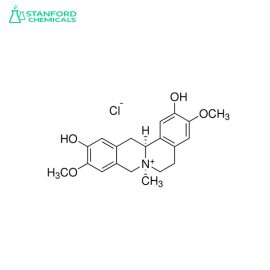 Phellodendrine chloride