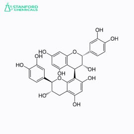 Procyanidin B1