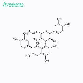 Procyanidin B3