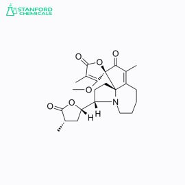 Protostemotinine