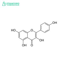 Kaempferol