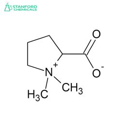 Stachydrine