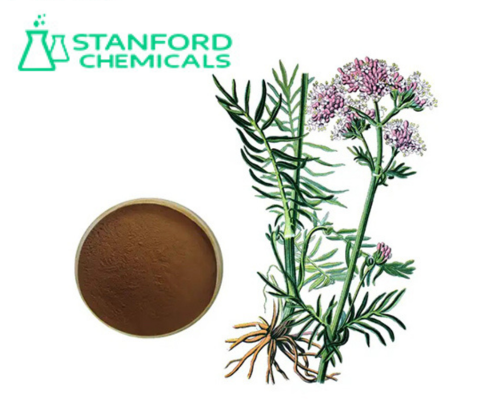 Valeriana officinalis plant and Valerian Root extract