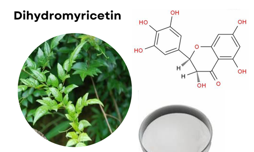 What is the Difference Between Dihydromyricetin and Myricetin?