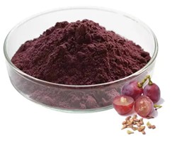 Top 10 Popular Herbal Extracts: Grape Seed Extract