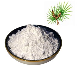 Top 10 Popular Herbal Extracts: Saw Palmetto Extract