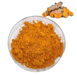 Top 10 Popular Herbal Extracts: Turmeric Extract