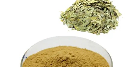 Cassia Seed Extract