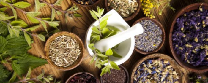 10 Herbal Ingredients Used Worldwide to Promote Hair Growth